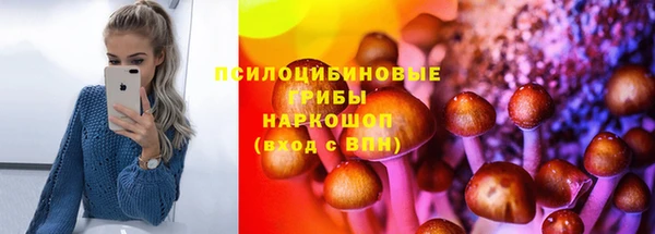 стаф Бугульма