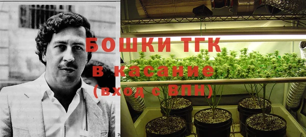 ешки Богородск