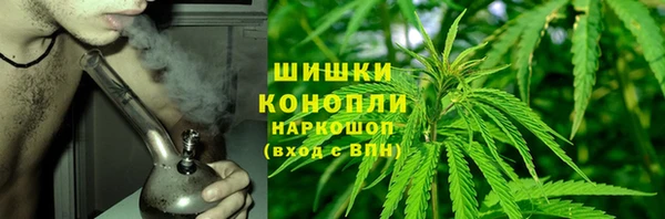 альфа пвп Медвежьегорск
