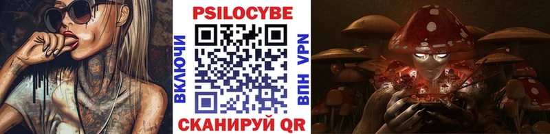 Псилоцибиновые грибы Cubensis  Среднеуральск 