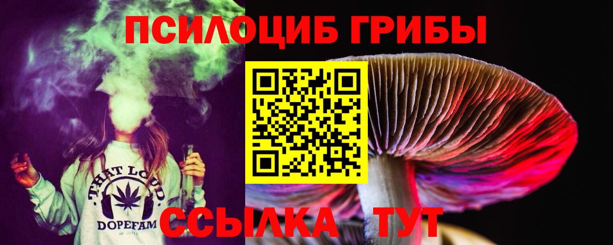 Среднеуральск  Галлюциногенные грибы мицелий  купить закладку  Вход с VPN 